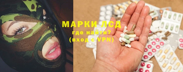 шишки Бородино