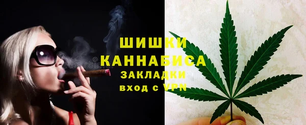 дурь Бронницы