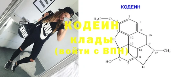 шишки Бородино