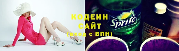шишки Бородино