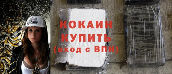 дурь Бронницы