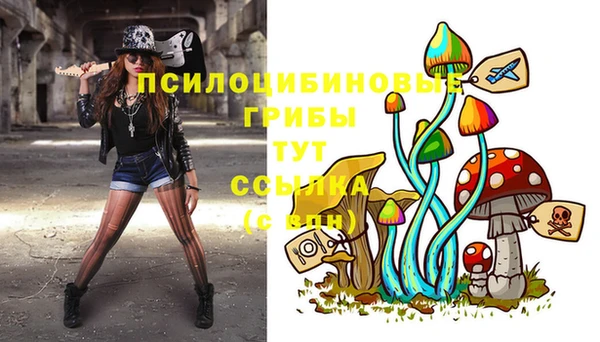 шишки Бородино