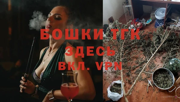 шишки Бородино