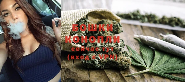 шишки Бородино