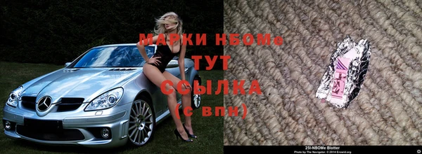 шишки Бородино