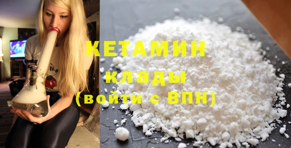 шишки Бородино
