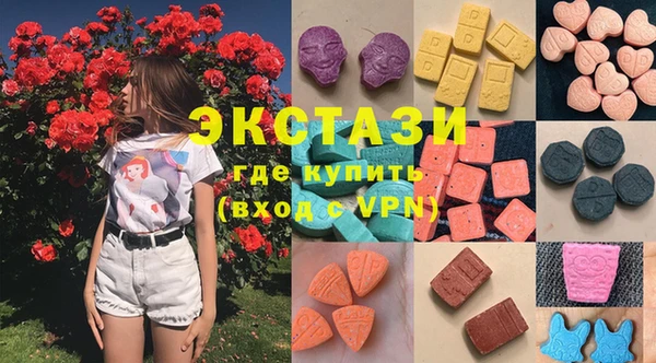 шишки Бородино