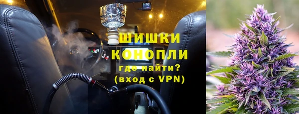 дурь Бронницы